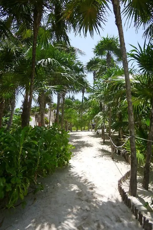 Hotel Casa Violeta à Tulum
