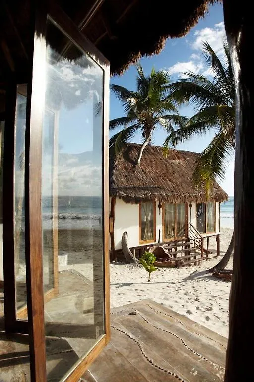 Casa Violeta Hotel Tulum