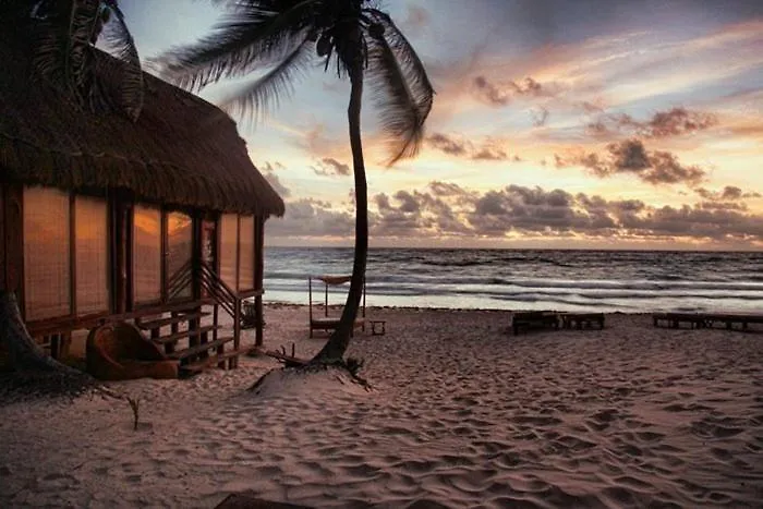 Casa Violeta Hotel Tulum Mexico