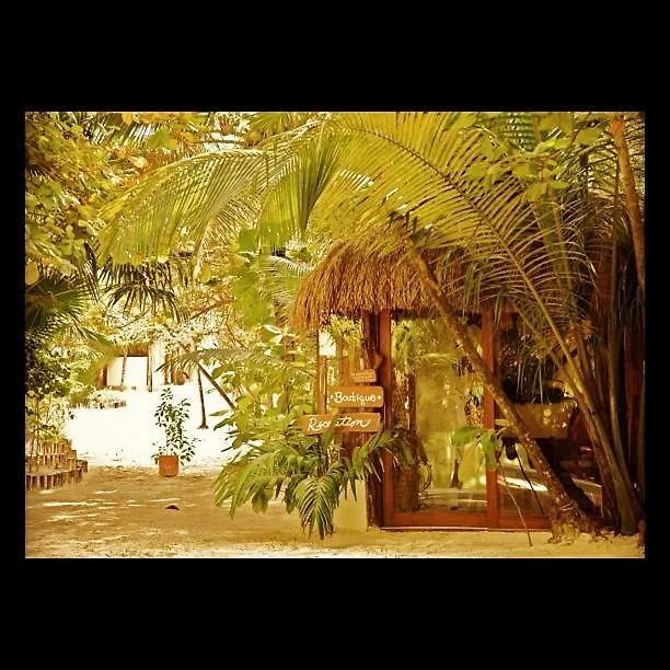 ***  Casa Violeta Hotel Tulum Mexico