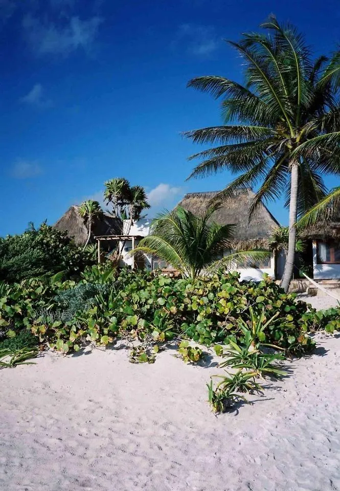 Casa Violeta Hotel Tulum