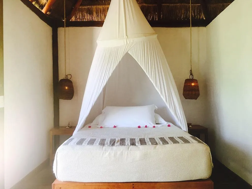 Casa Violeta Hotel Tulum