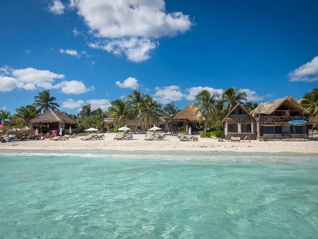 Casa Violeta Hotel Tulum