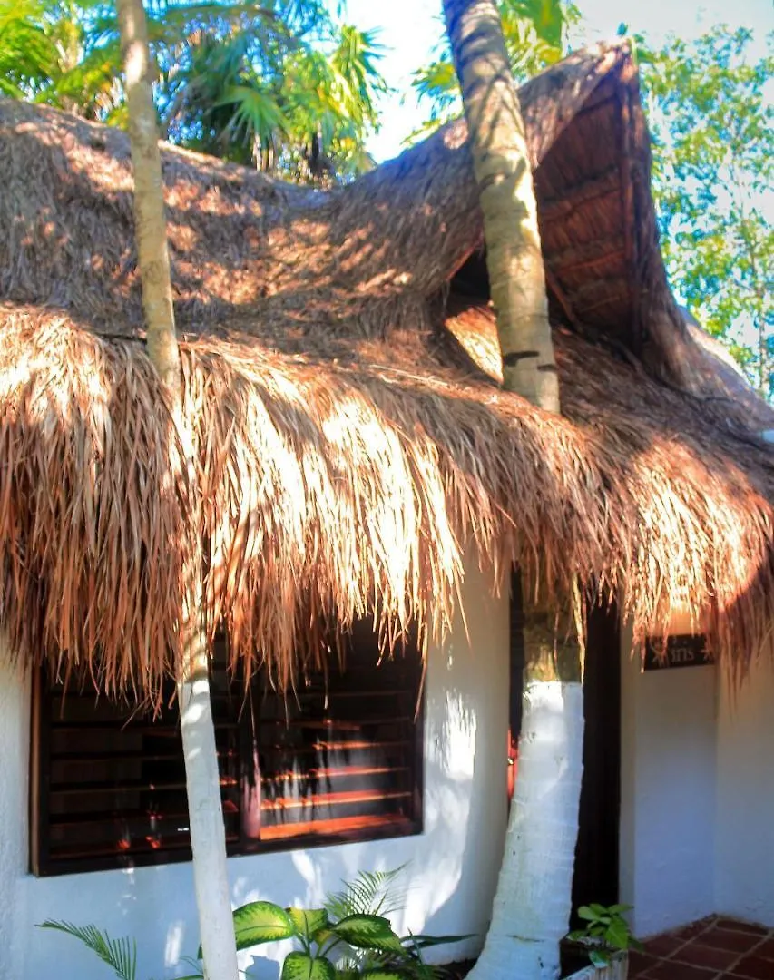 Casa Violeta Hotel Tulum