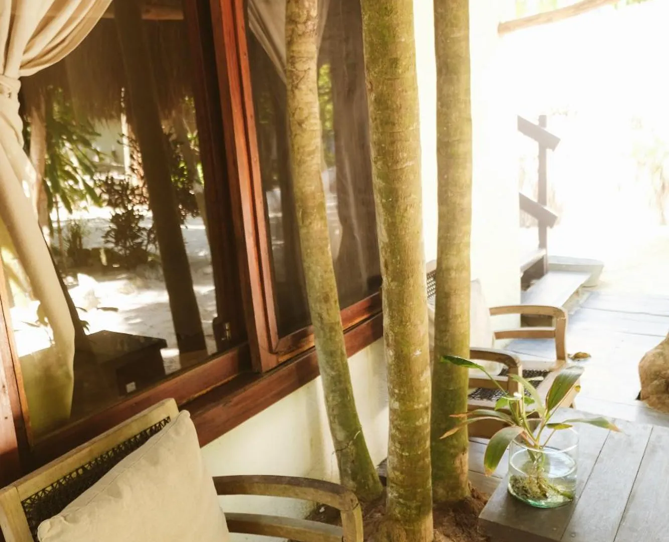 Casa Violeta Ξενοδοχείο Τουλούμ