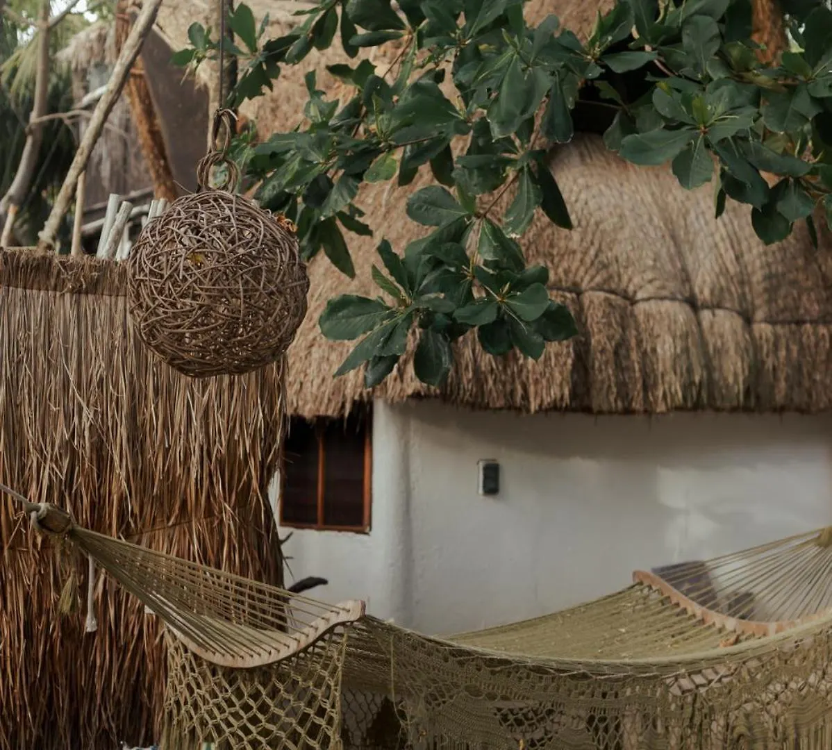 Casa Violeta Ξενοδοχείο Τουλούμ 3*,  Μεξικό