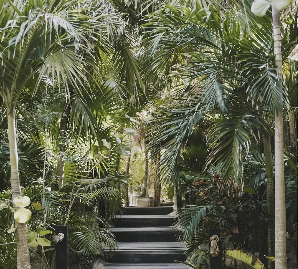 Casa Violeta Ξενοδοχείο Τουλούμ 3*,